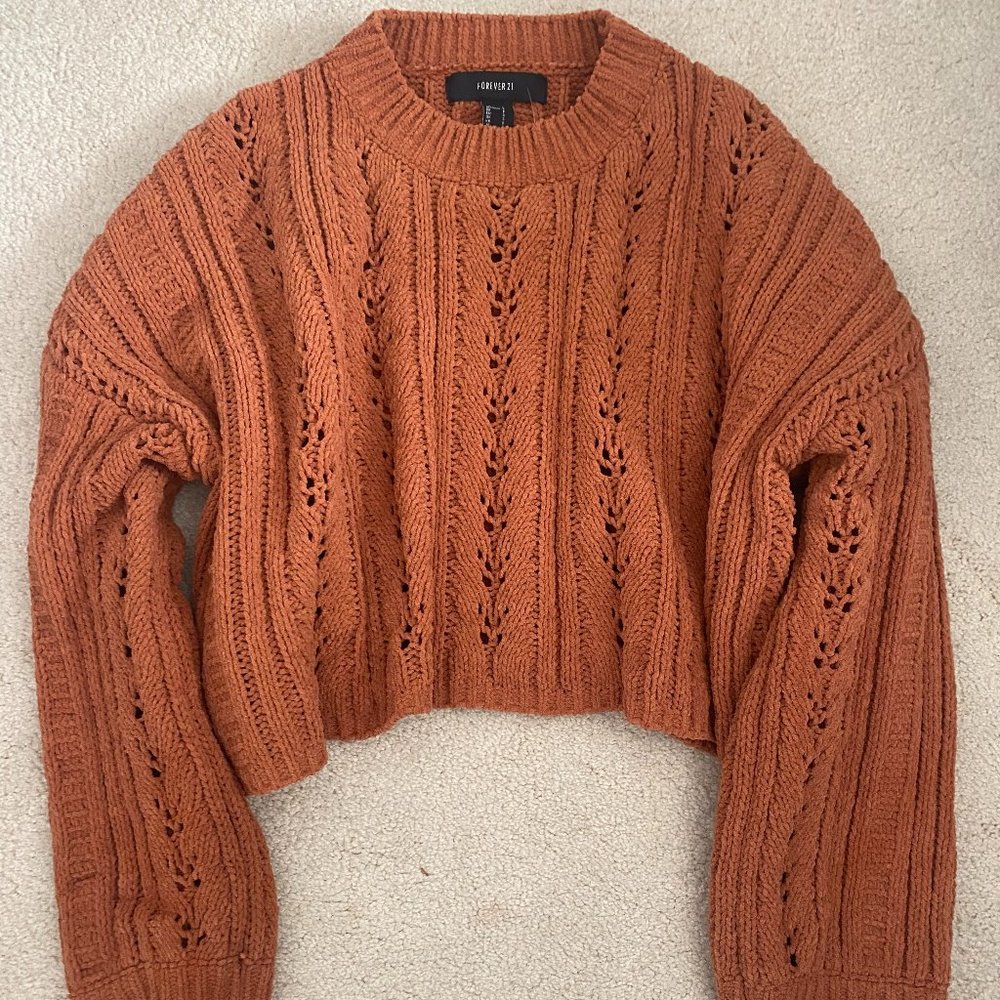 NWT Forever 21 Burnt Orange Cropped Sweater